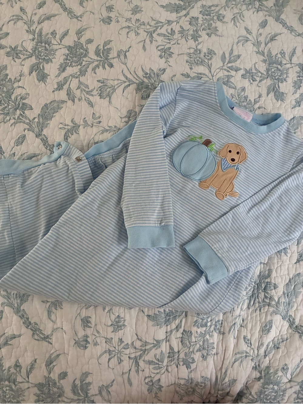 Stitchy Fish Appliqué Romper